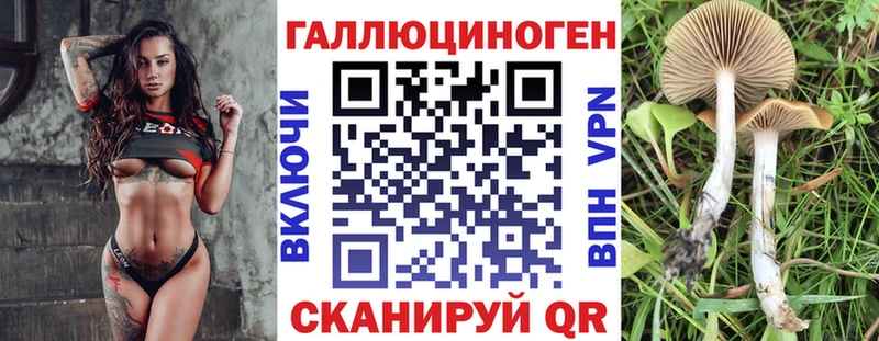 Галлюциногенные грибы прущие грибы  Димитровград 