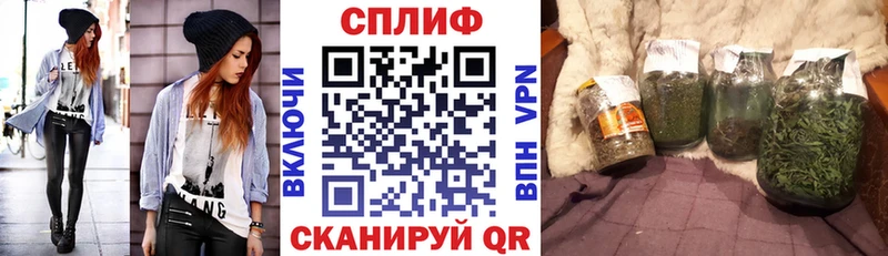 Бошки Шишки марихуана Димитровград